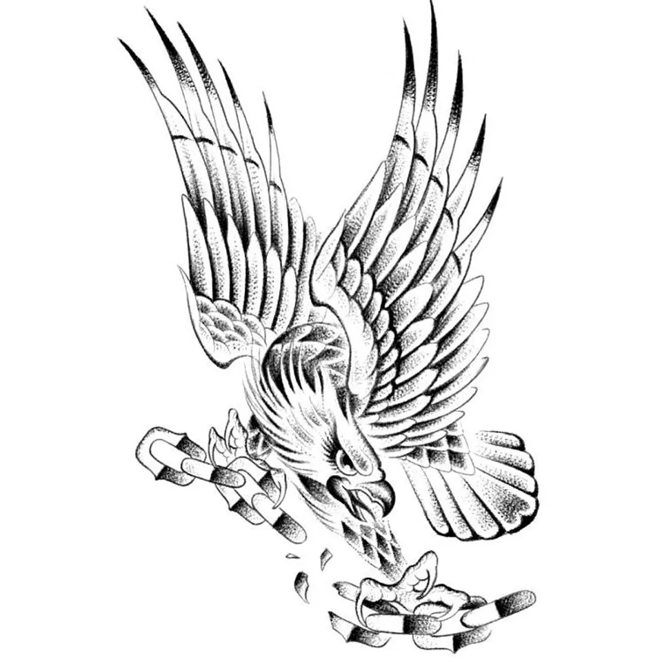 Flash « Aigle et chaîne brisée »