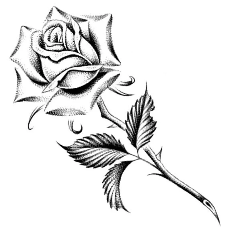Flash « Rose épanouie »