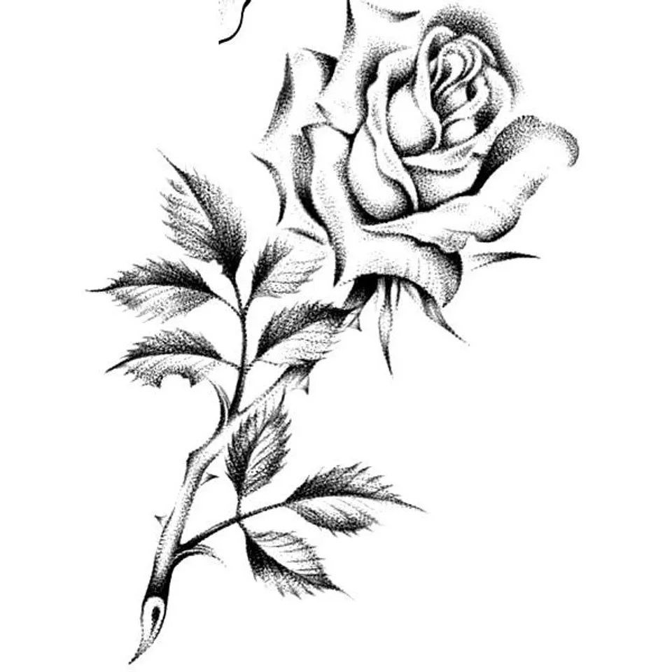 Flash « Rose sauvage »
