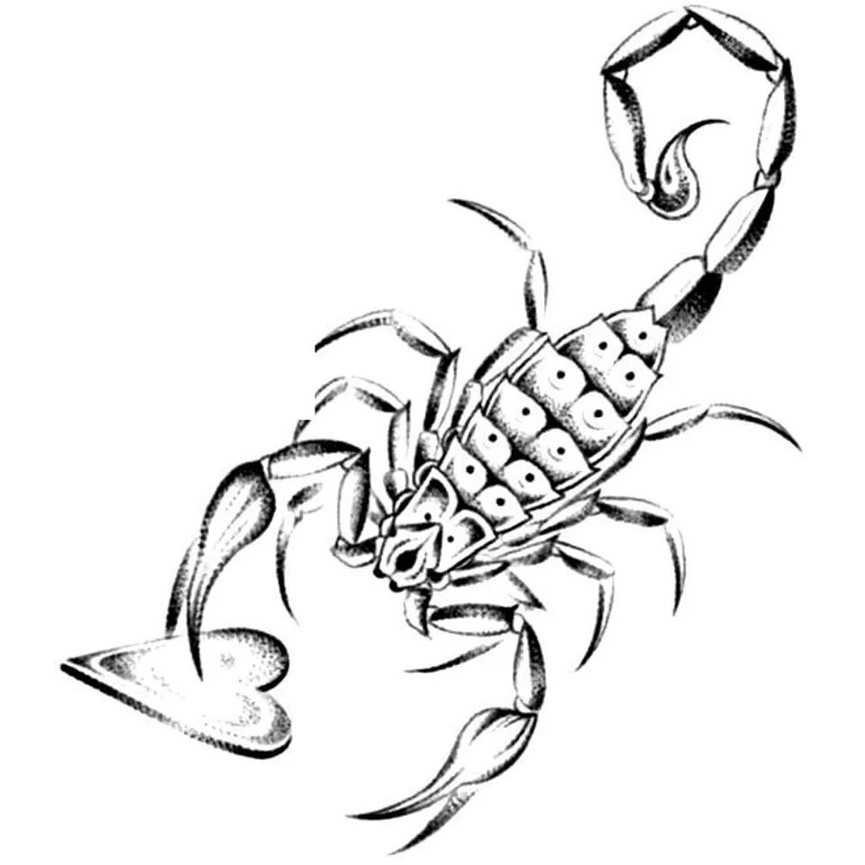 Flash « Scorpion »