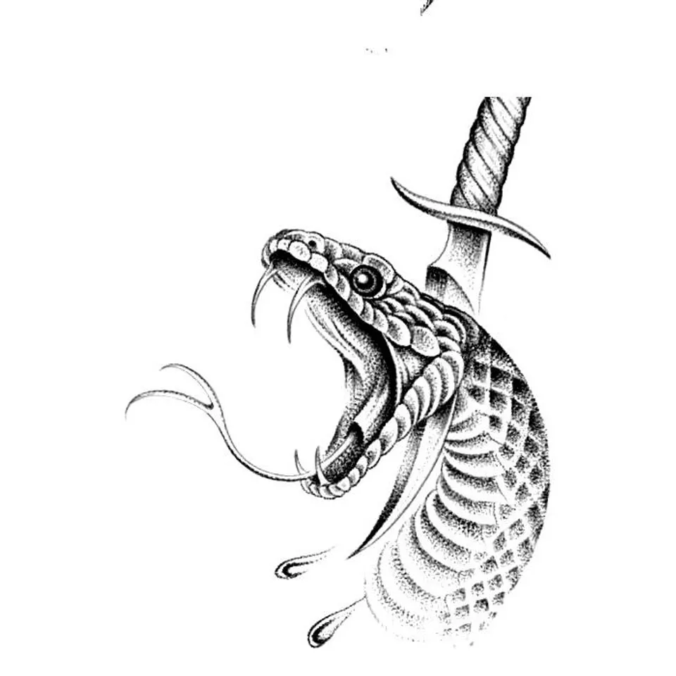 Flash « Serpent et dague »