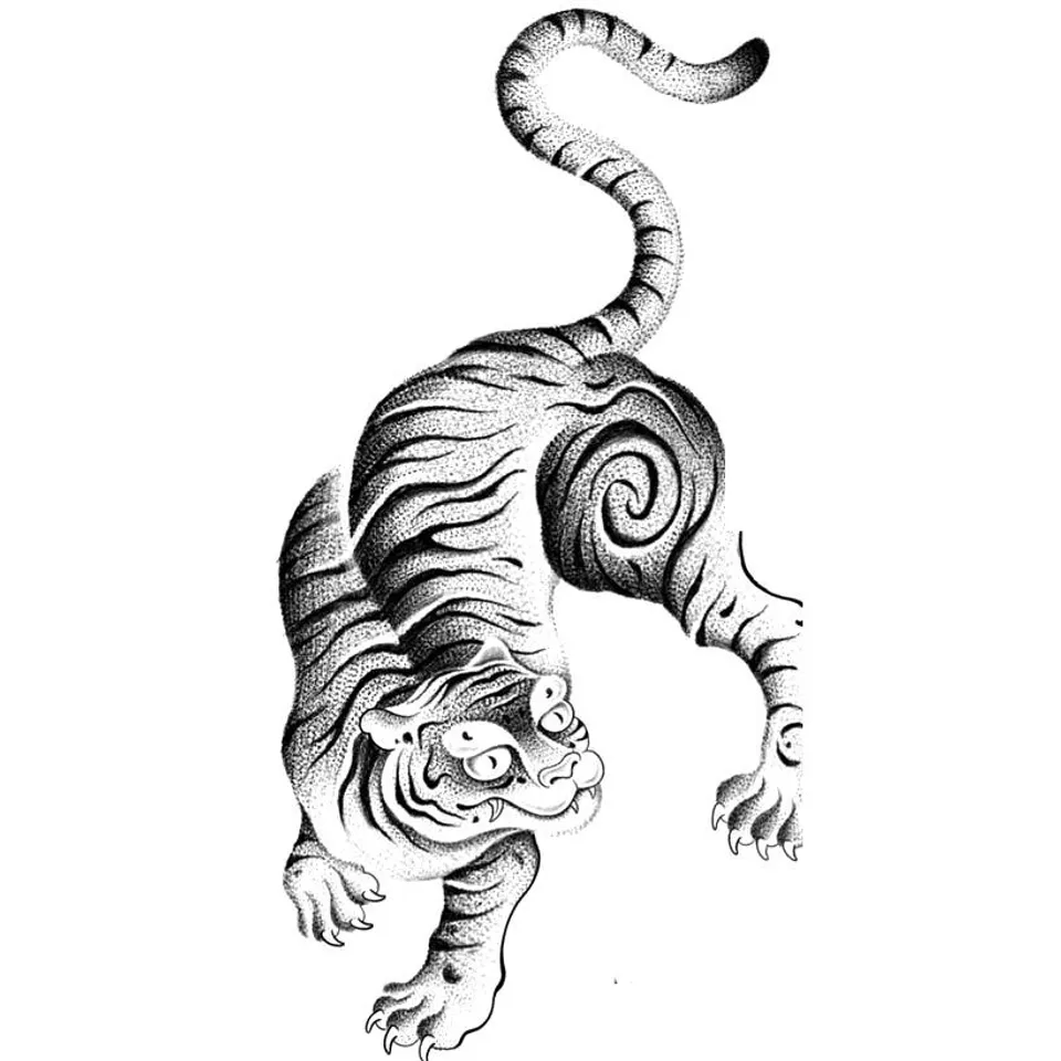 Flash « Tigre »