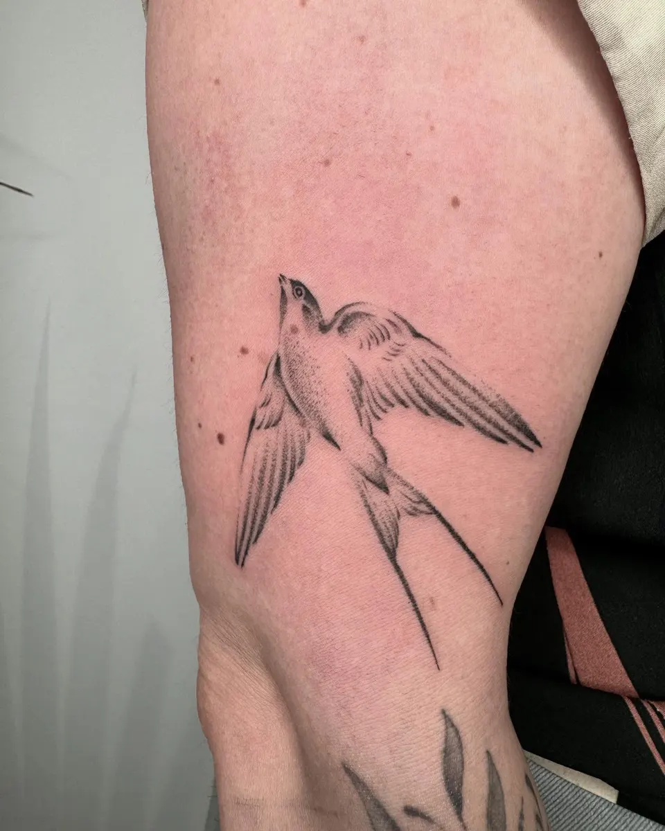 Tatouage « Hirondelle en vol »