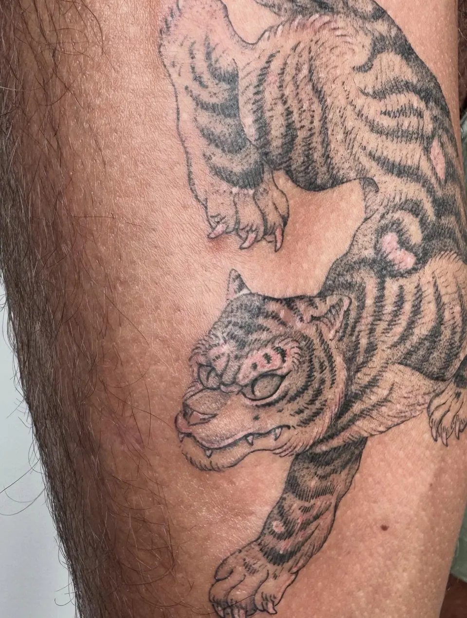 Tatouage « Tigre descendant »